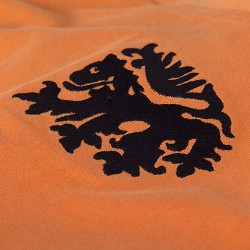 Maillot rétro Hollande 74